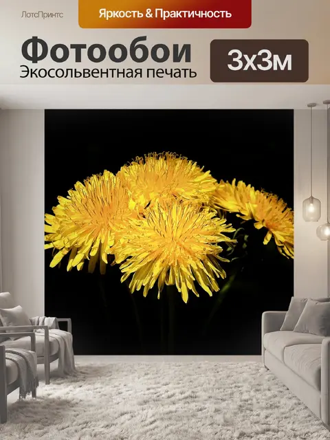 Фотообои Одуванчик