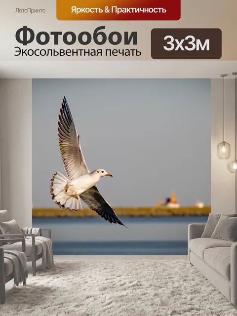 Фотообои Птицы
