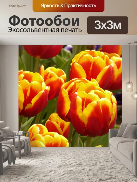 Фотообои Цветок