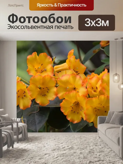 Фотообои Цветы