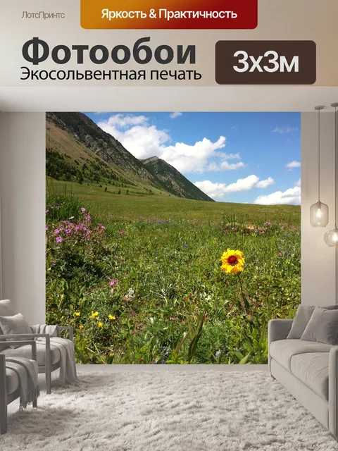 Фотообои Полевые цветы