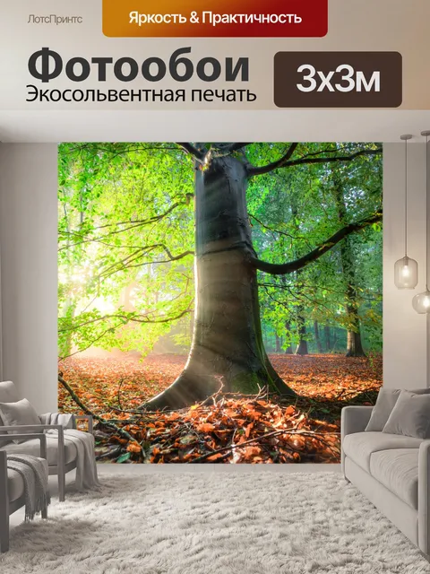 Фотообои Лес