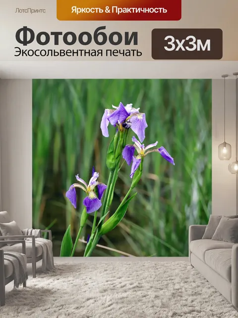 Фотообои Сад