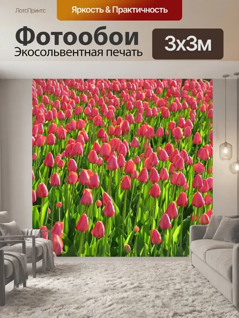 Фотообои Тюльпаны