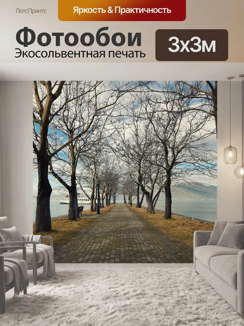 Фотообои Дорога