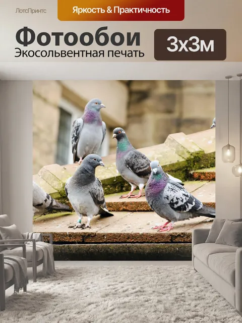 Фотообои Голуби