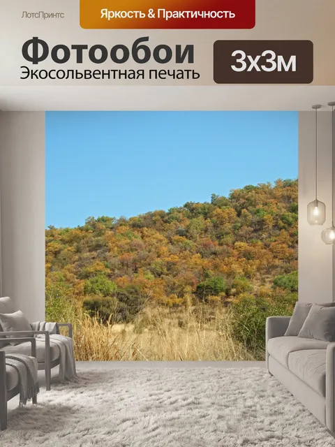 Фотообои деревья в цветовой гамме