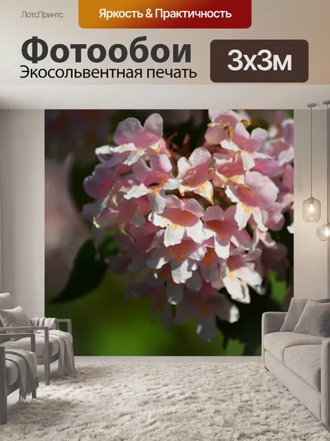Фотообои Цветы