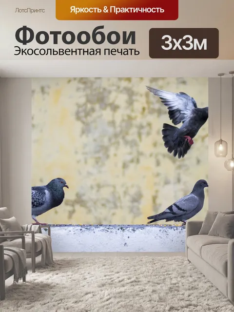 Фотообои Голубь