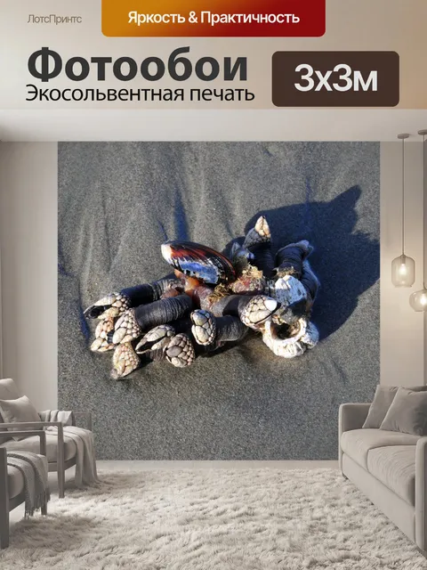 Фотообои Скопление снарядов
