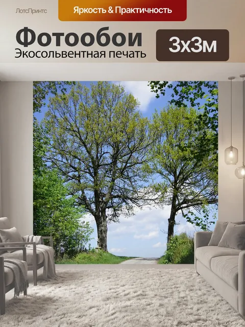 Фотообои Деревья