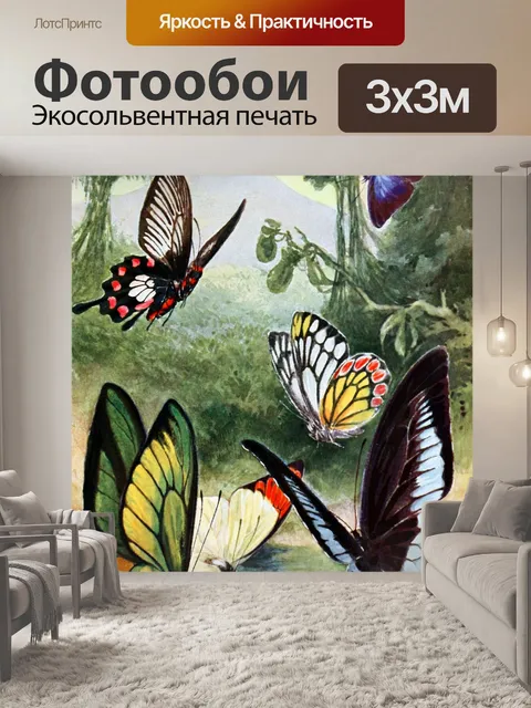Фотообои Бабочки мотылек арт винтаж