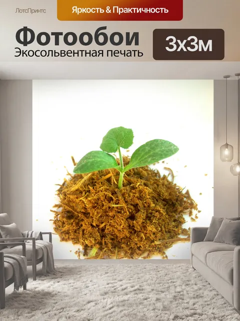 Фотообои Молодое дерево