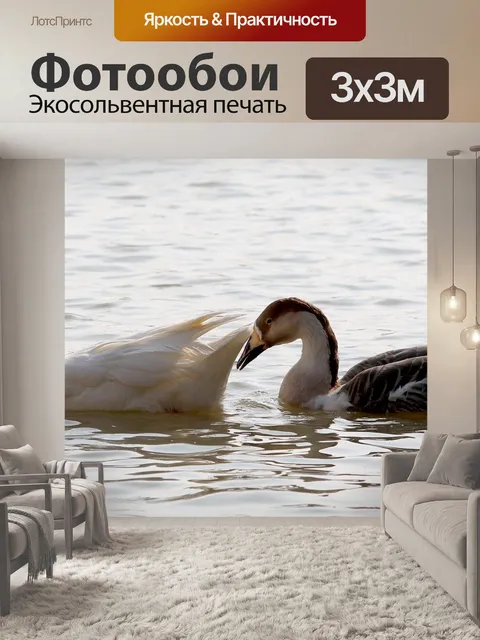 Фотообои Пара