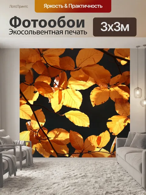 Фотообои Падение