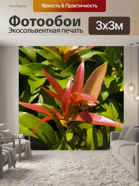 Фотообои Листья