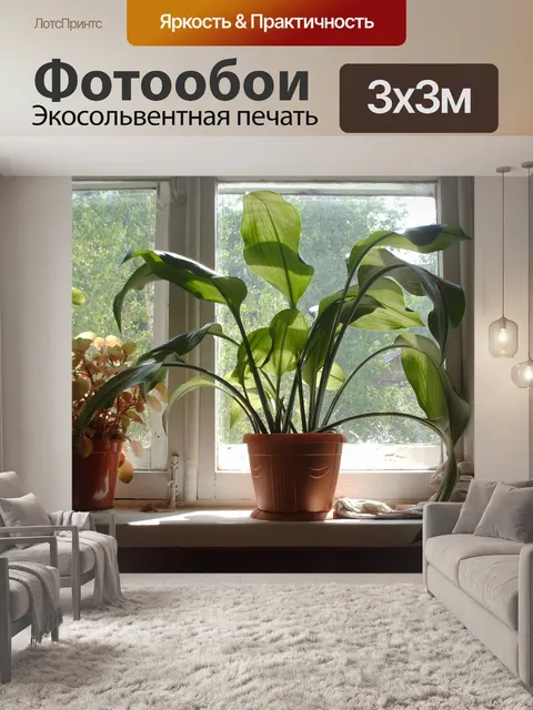 Фотообои Цветы на окне