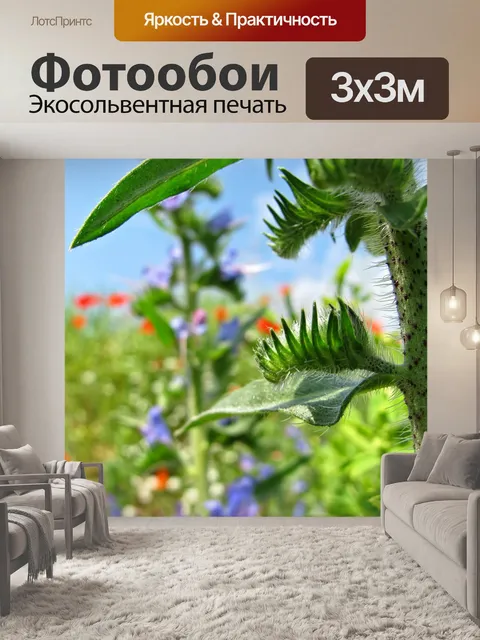 Фотообои Цветы