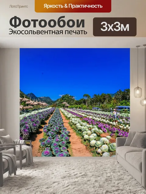 Фотообои Дои Анг Кханг, Чианг Май, Таиланд