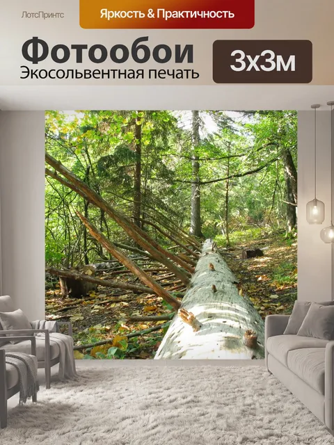 Фотообои Дерево