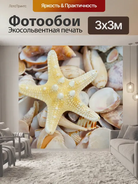 Фотообои Куча Раковины
