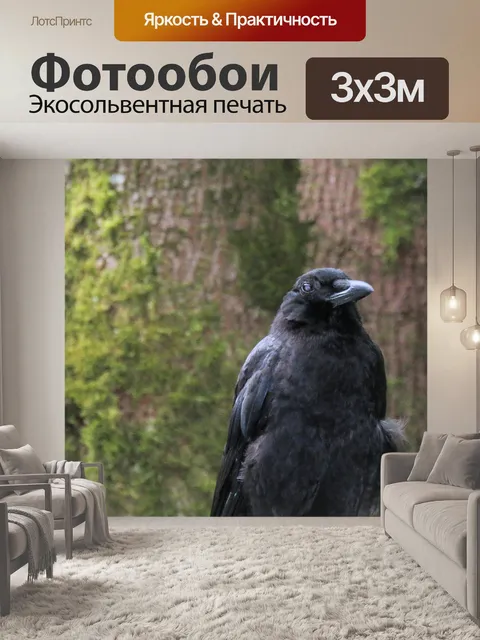 Фотообои Ворона на заборе 3