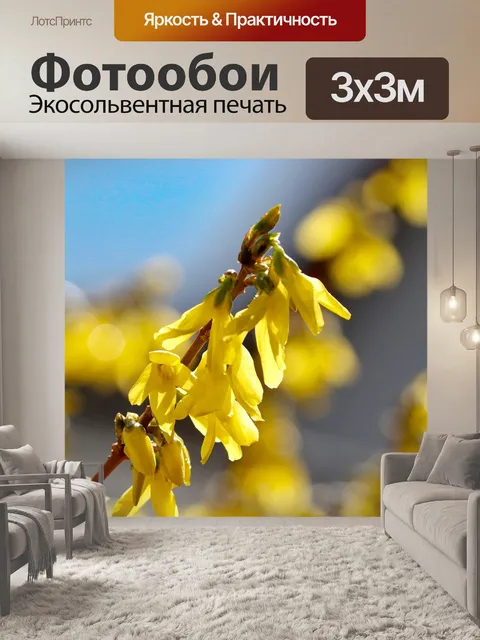 Фотообои Форсайтия