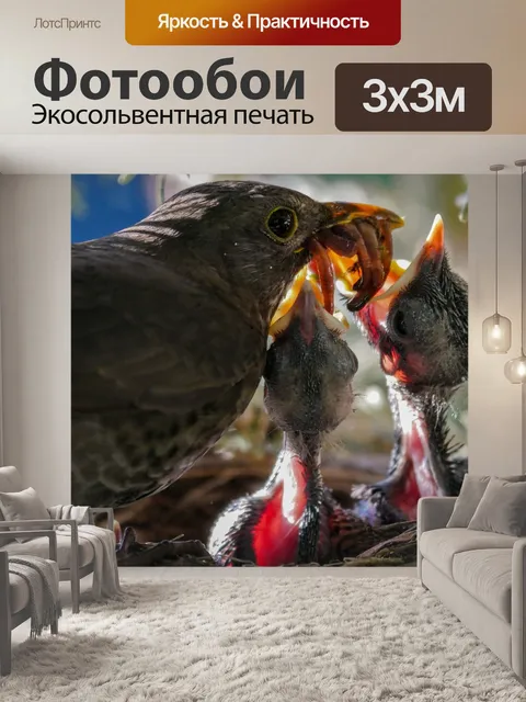 Фотообои Птица