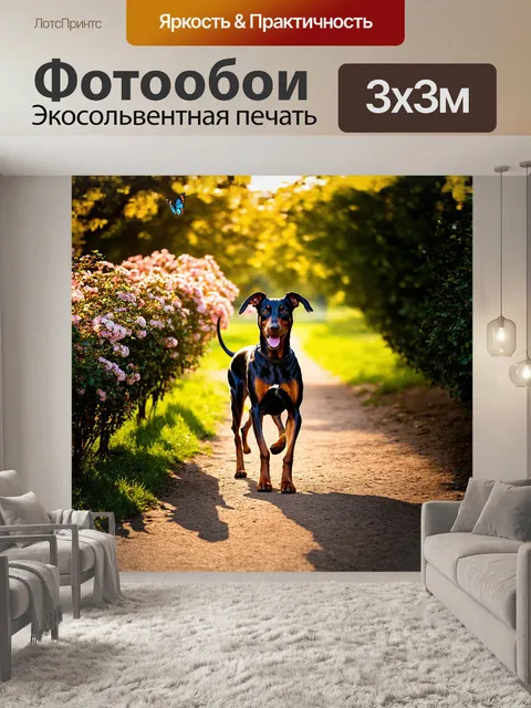 Фотообои в парке на закате доберман с благородным видом и блестящей шерстью