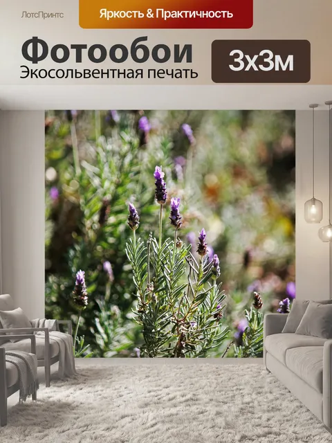 Фотообои солнечный свет на цветах лаванды