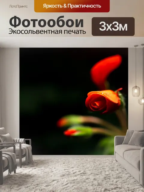 Фотообои Цветы