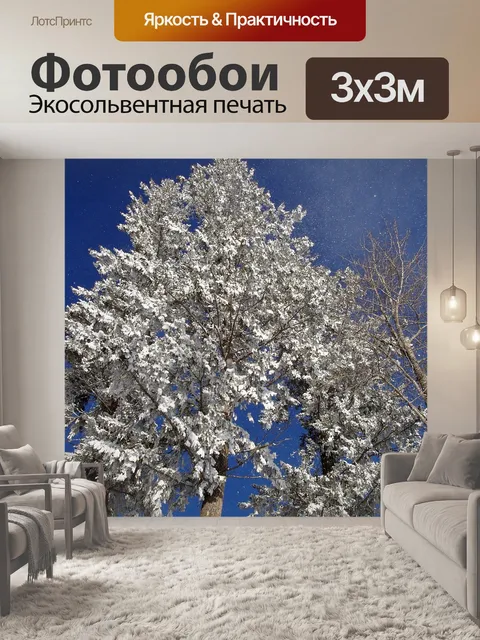 Фотообои Деревья