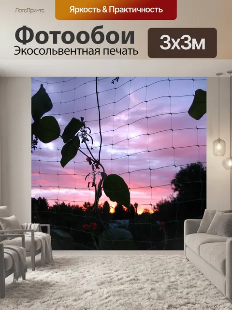 Фотообои Bean растений на закате
