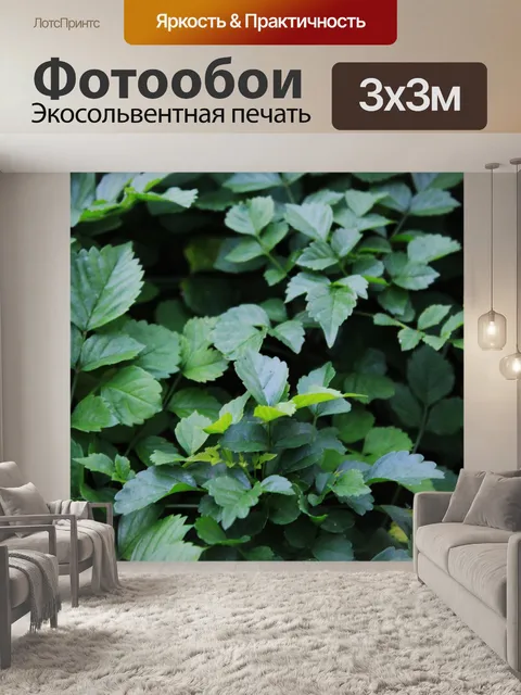 Фотообои Зеленые листья фон