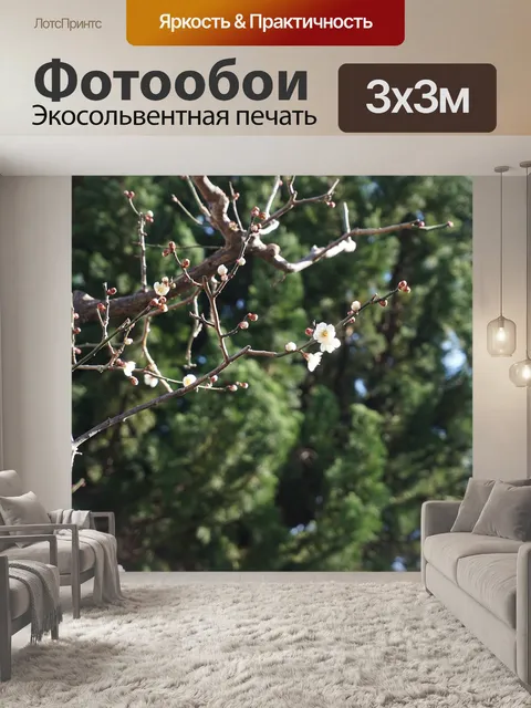 Фотообои Дерево