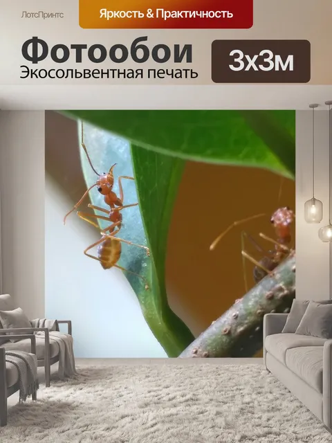 Фотообои Лист