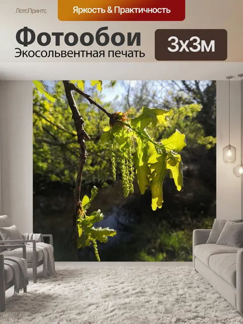 Фотообои Весна