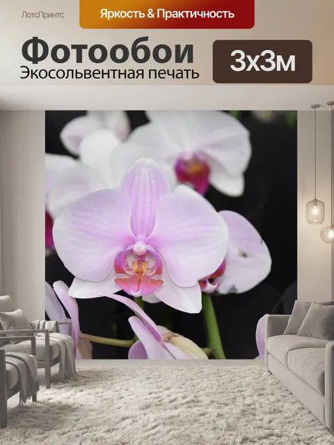 Фотообои Цветок