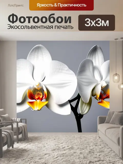 Фотообои с орхидеями минимал