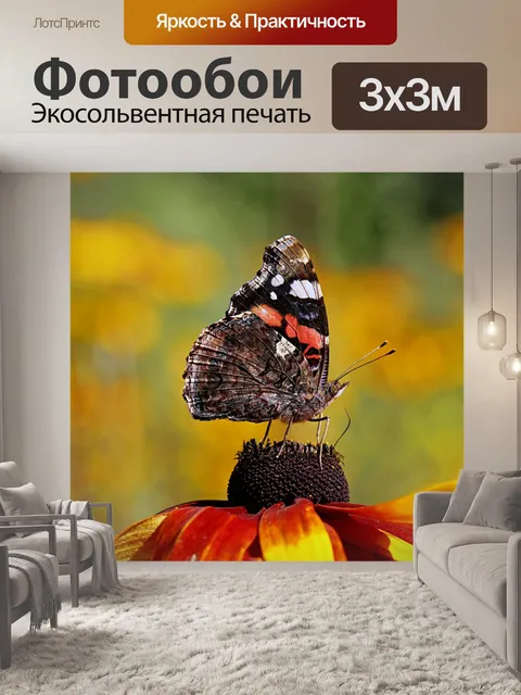 Фотообои Бабочка