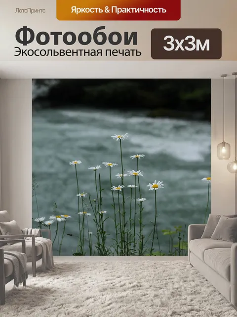 Фотообои Маргаритка