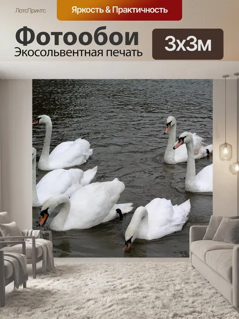 Фотообои Лебеди