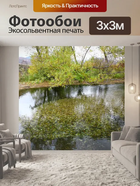 Фотообои Лес