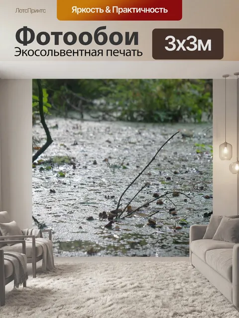 Фотообои Болото