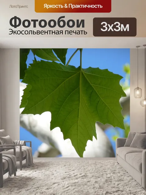Фотообои Клен