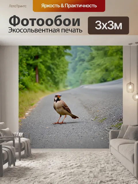 Фотообои птица, сидящая на обочине дороги, передающая уединение и неожиданность, стиль документальной анфисы