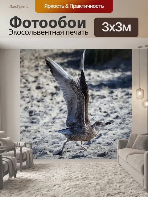 Фотообои Чайка