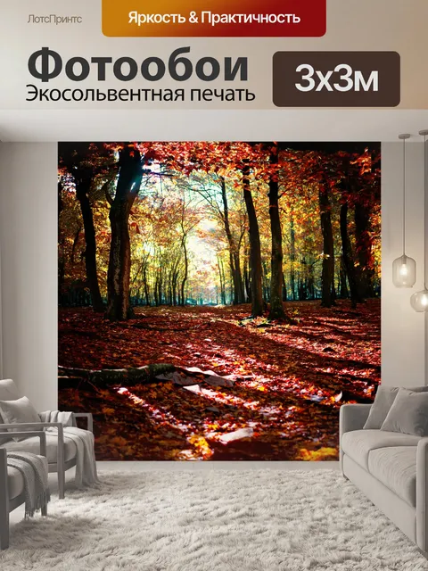 Фотообои густой лес, где красновато-коричневые листья создают плотный ковер на земле, покрыт солнечными зайчиками…
