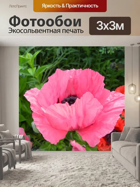 Фотообои Цветы
