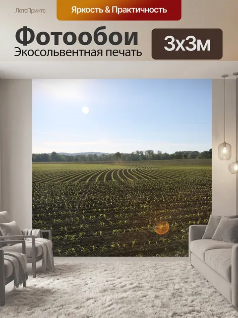 Фотообои Поля